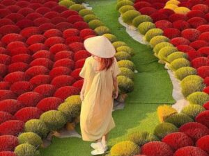 Meditation tour Viet Nam At A Glance