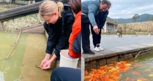 Explore 7 Meaningful Aspects of mindfulness meditation retreats Vietnam Life Release and Offering Rituals in Mindfulness Meditation Retreats Vietnam