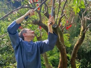THE BODHI JOURNEY 13