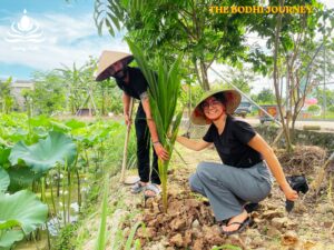 THE BODHI JOURNEY 32
