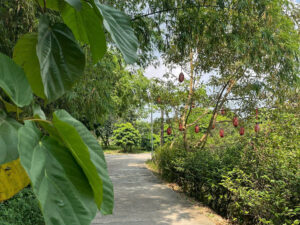 4-Day Authentic Buddhist and Meditation Experience near Hanoi 1793169514732 2345423932706736331 2345423932706736331 54365291173ce1684a53054836fb1e7b
