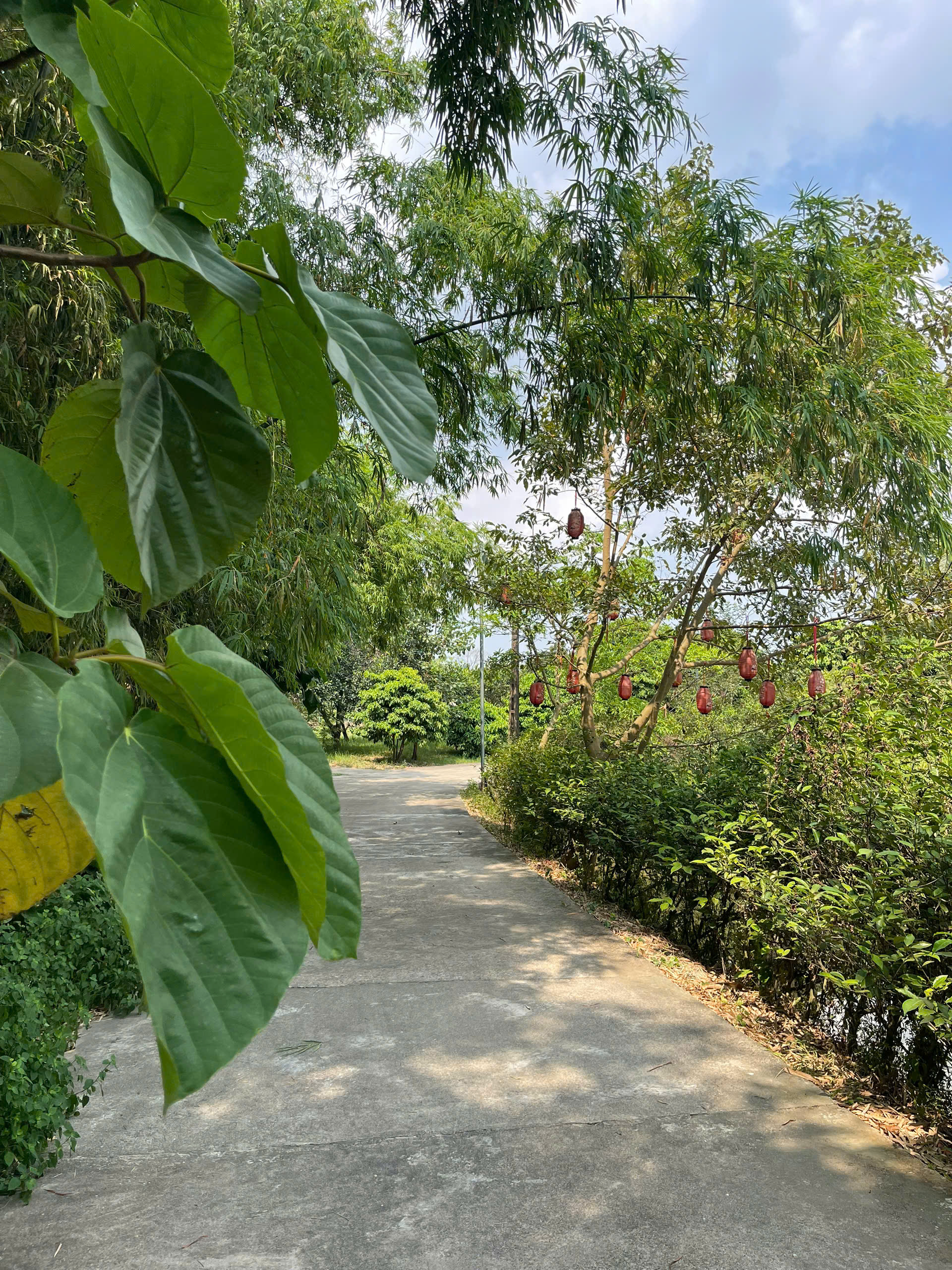 4-Day Authentic Buddhist and Meditation Experience near Hanoi 4-Day Authentic Buddhist and Meditation Experience near Hanoi - Image 10